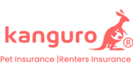 Kanguro